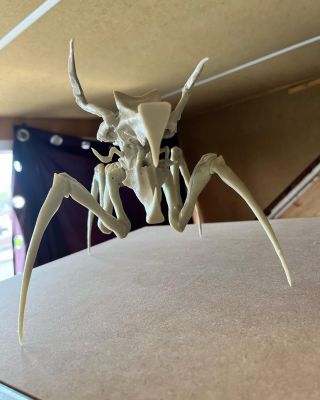 Doing my part… 😂 

3D print of an arachnid (gamebody) from Starship Troopers. Printed in 3Djake eco resin.
Adjusted in blender to remove the legs to scale the model. 

#3djake #3dprinting #3dprint #modelkit #DIY #moviemonsters #instagood #saturnS #3dprintnl #3dprinter #gamebody3d